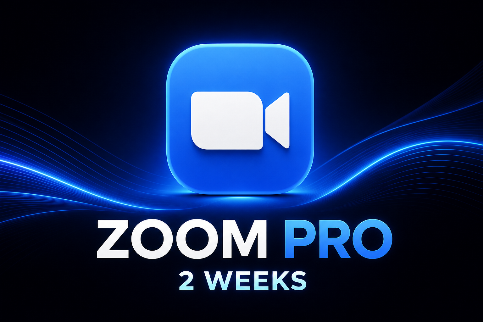 Zoom Pro · 2 недели